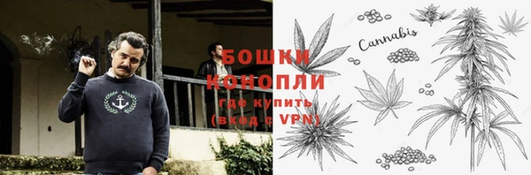 дмт Белокуриха