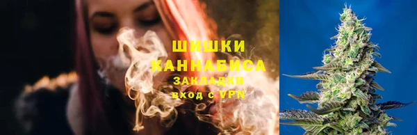 амф Белоозёрский