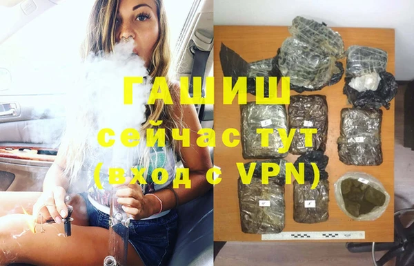 дмт Белокуриха