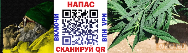 нарко площадка наркотические препараты  что такое наркотик  Елизаветинская  Бошки марихуана White Widow 